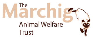 Marchig Animal Welfare Trust