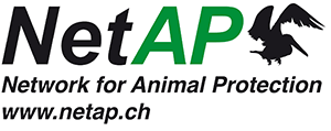 Net AP