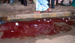 Blood in the streets