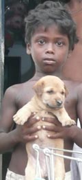 Young boy with puppy