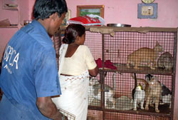 VSPCA rescuing cats from poor lviing conditions