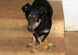 Tabu