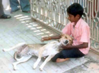 Boy with dogs.