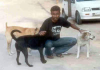 Man with dogs.