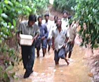 VSPCA teams