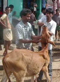 Providing medicine