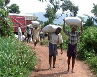 Carrying feed